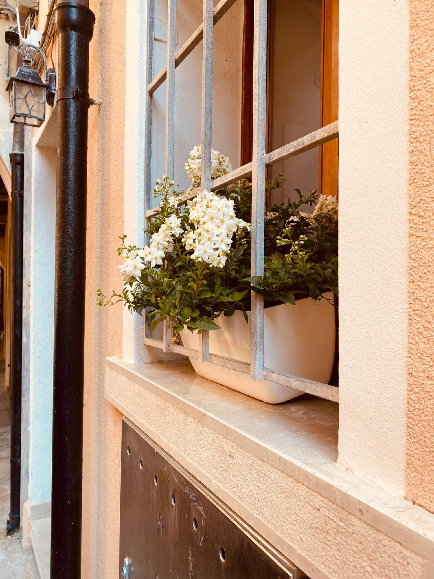 Casabella Chioggia Casa Indipendente Con Corte Exteriör bild